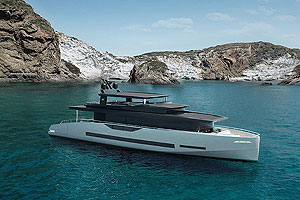 Первая ласточка