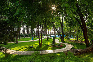 Философия гармонии