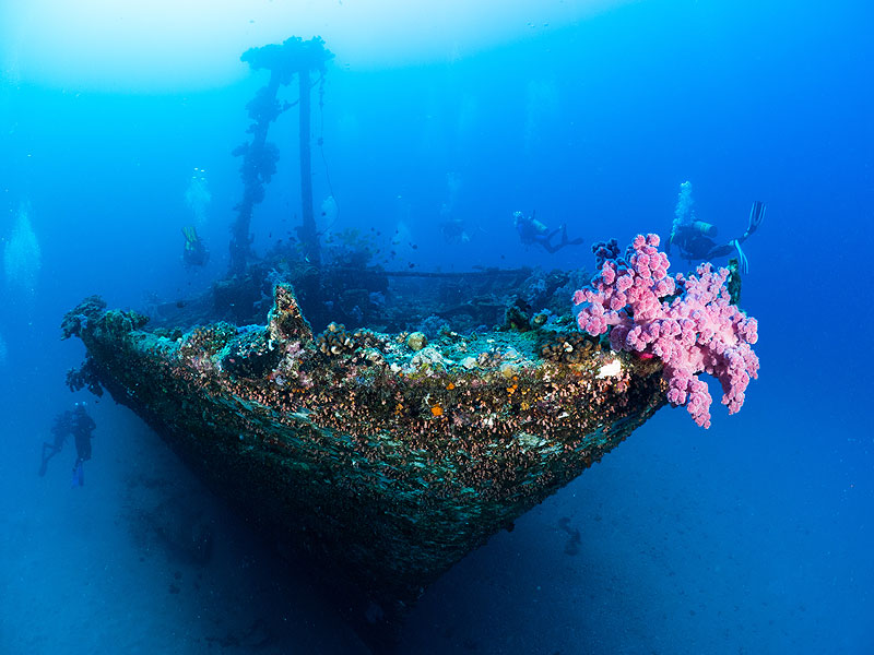 /upload/iblock/961/MTPA-ACTIVITIES-DIVING-012.jpg