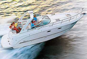 Птица над водой